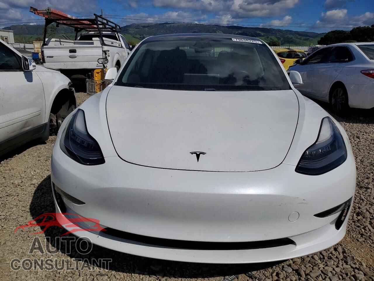 TESLA MODEL 3 2019 - 5YJ3E1EA3KF430812