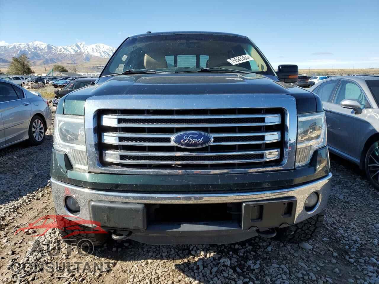 FORD F-150 2013 - 1FTFW1ET6DFD06754