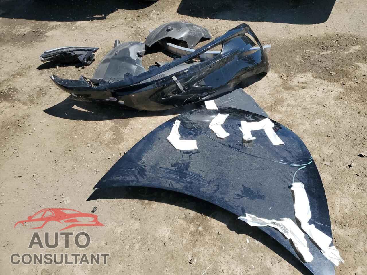 TESLA MODEL 3 2019 - 5YJ3E1EA1KF306134