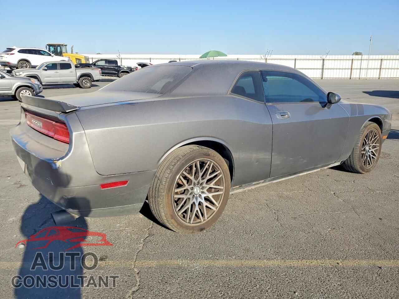 DODGE CHALLENGER 2010 - 2B3CJ4DVXAH318469
