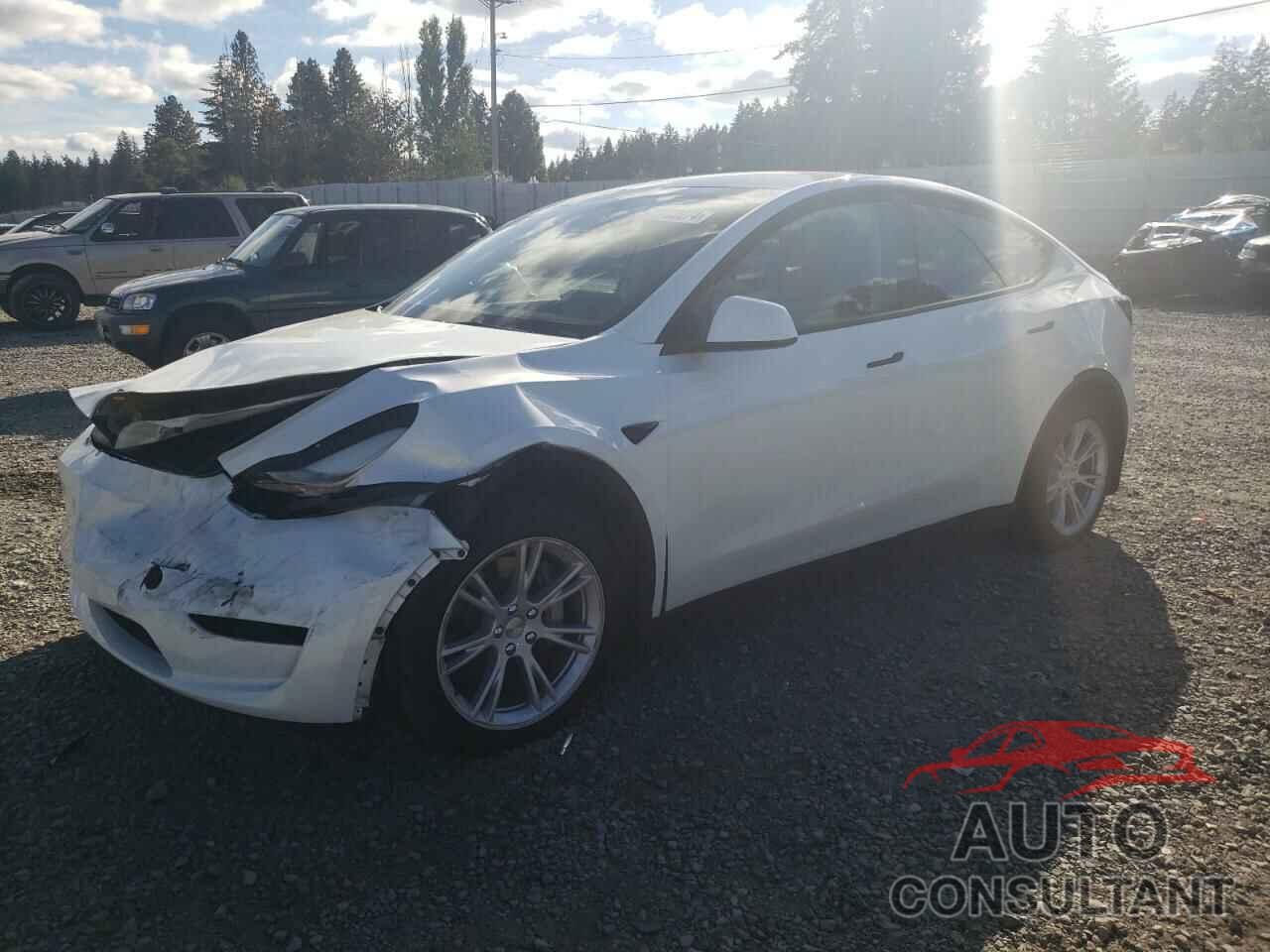 TESLA MODEL Y 2023 - 7SAYGDEE4PF810742