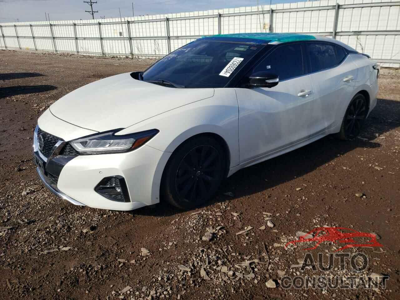 NISSAN MAXIMA 2019 - 1N4AA6AV4KC384449