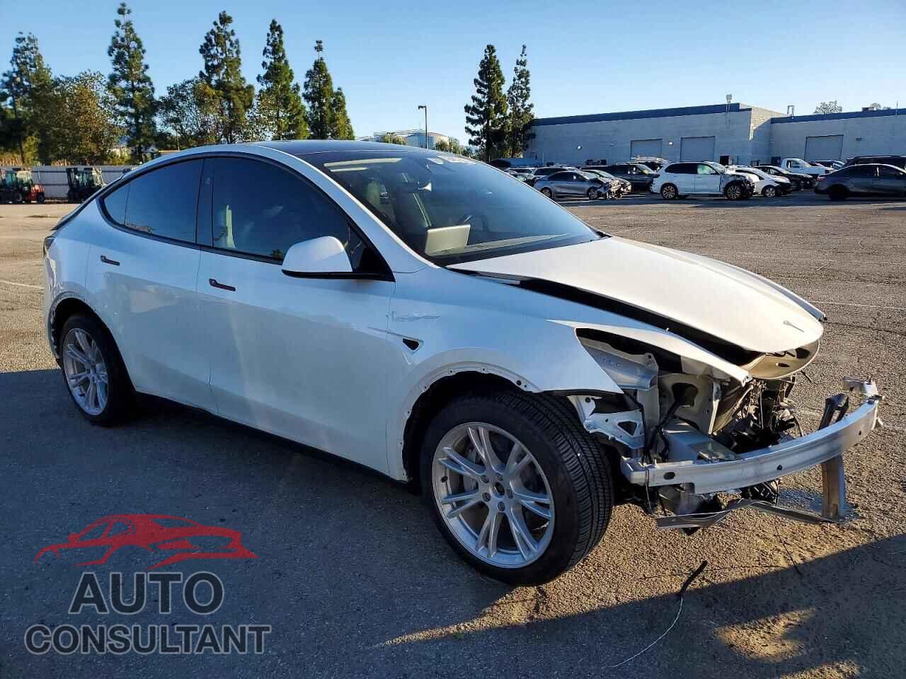 TESLA MODEL Y 2024 - 7SAYGDEE5RF091004