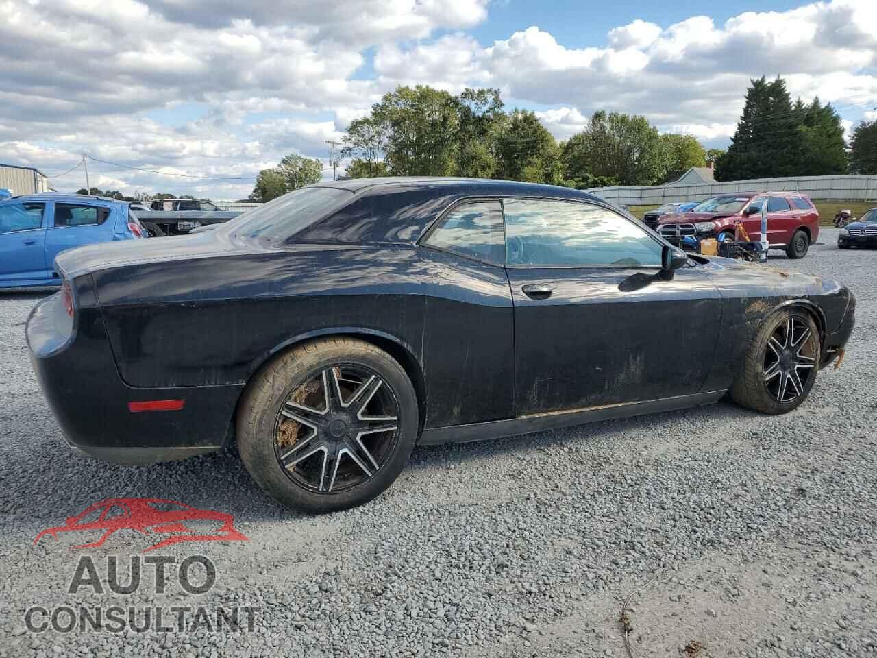 DODGE CHALLENGER 2013 - 2C3CDYAG3DH511607