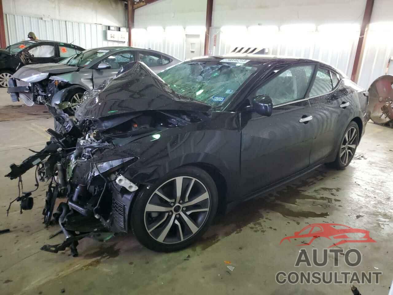 NISSAN MAXIMA 2019 - 1N4AA6AV0KC364523