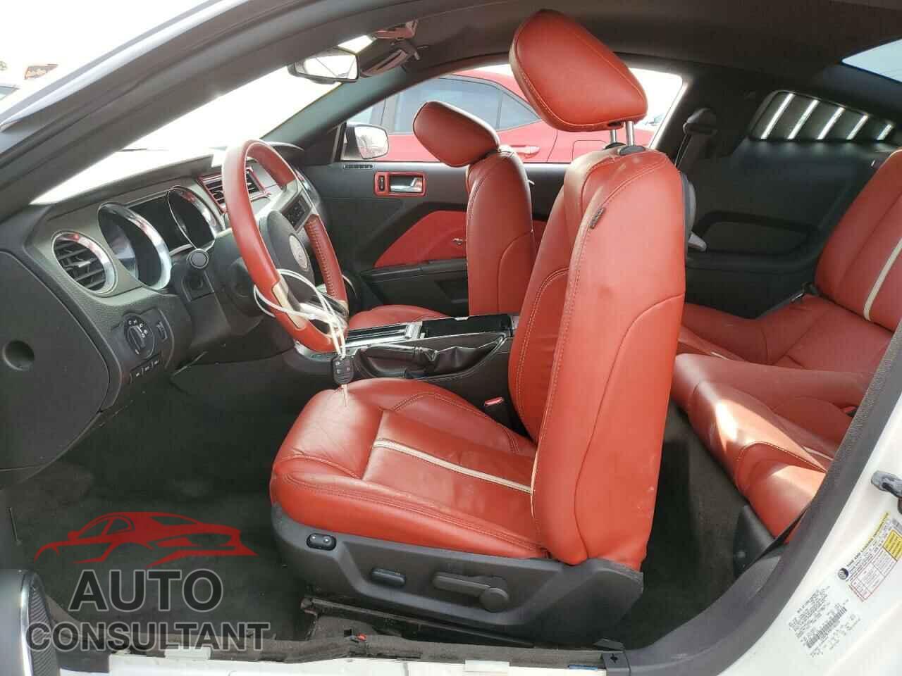 FORD MUSTANG 2010 - 1ZVBP8CH9A5166331
