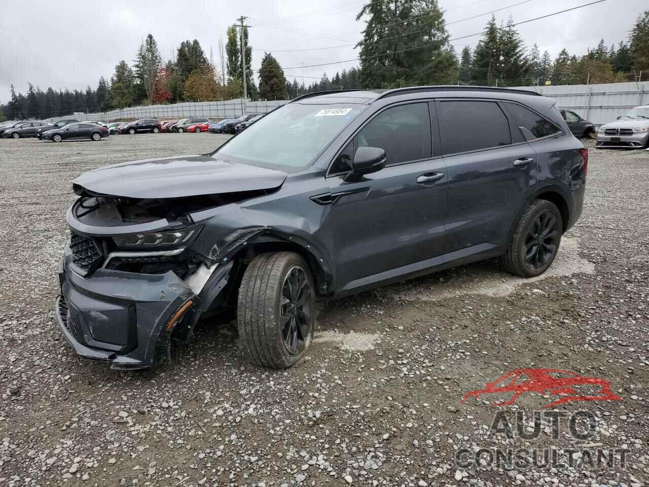 KIA SORENTO 2023 - 5XYRKDLF2PG190686