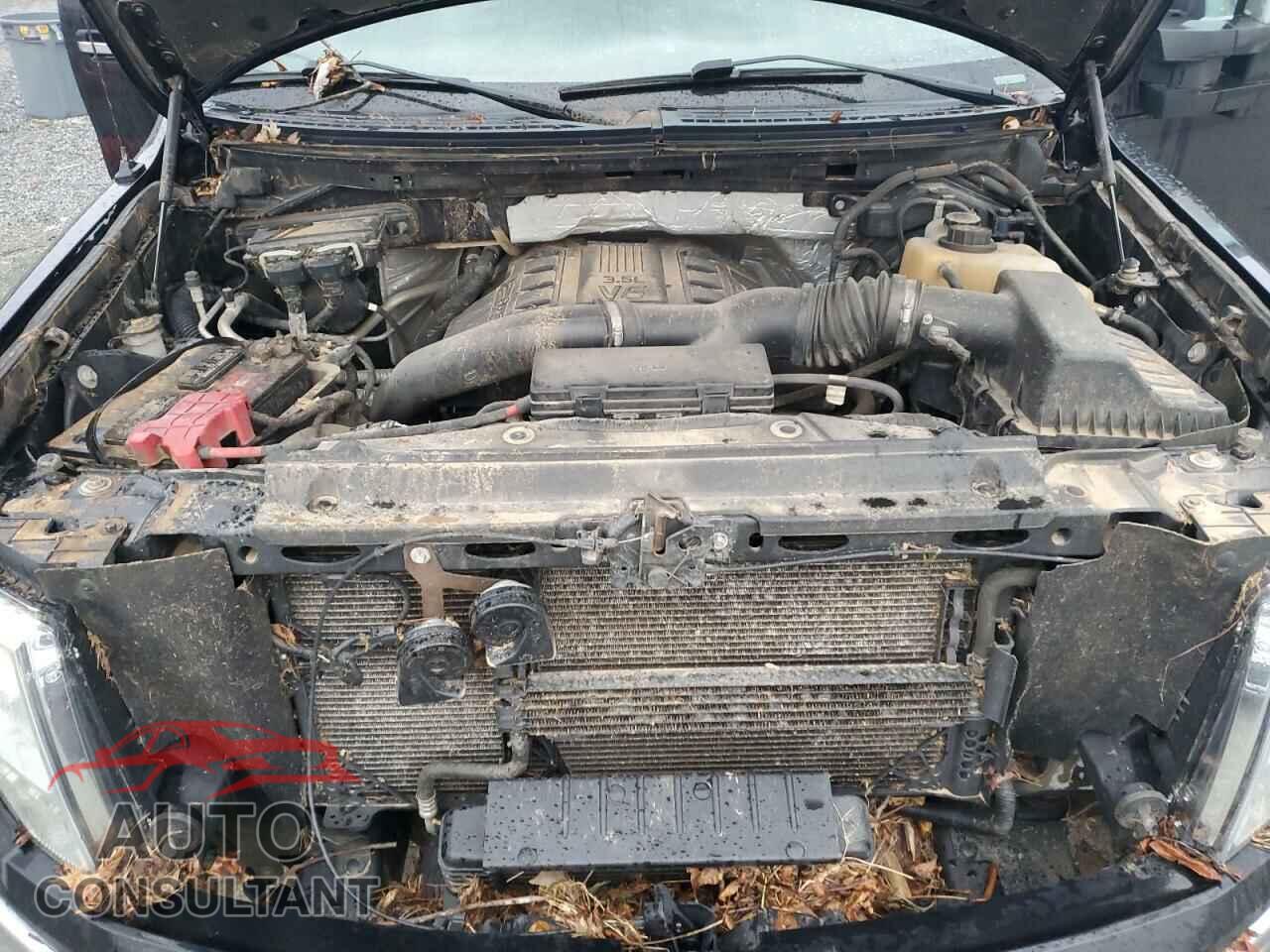 FORD F-150 2011 - 1FTFW1ET2BFB03096