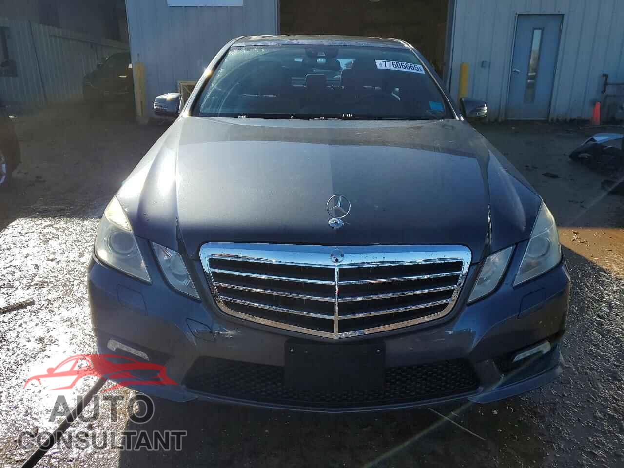 MERCEDES-BENZ E-CLASS 2010 - WDDHF8HB1AA160329