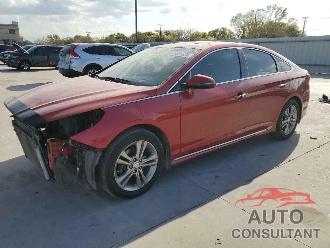 HYUNDAI SONATA 2019 - 5NPE34AF8KH778298