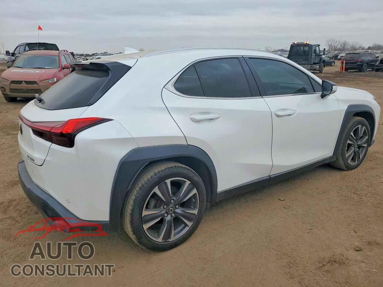 LEXUS UNKNOWN 2020 - JTHX3JBH3L2029238