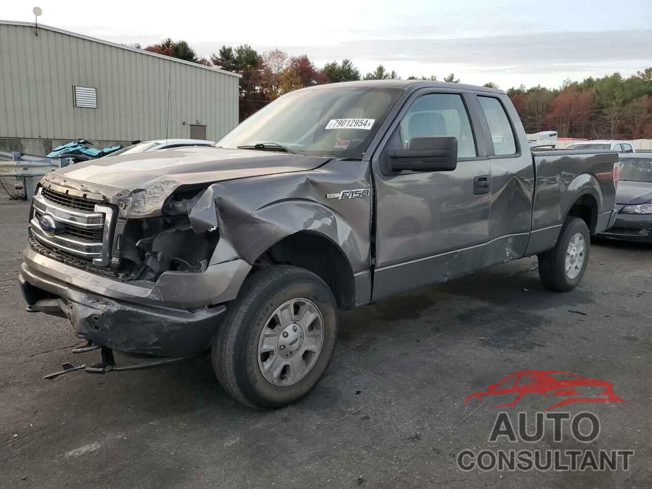 FORD F-150 2013 - 1FTFX1EF4DKE13901