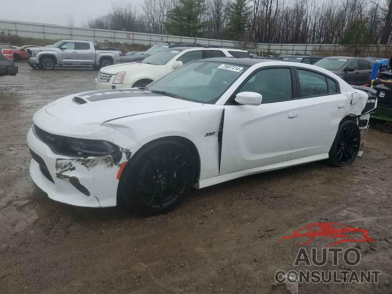 DODGE CHARGER 2017 - 2C3CDXGJ4HH652964