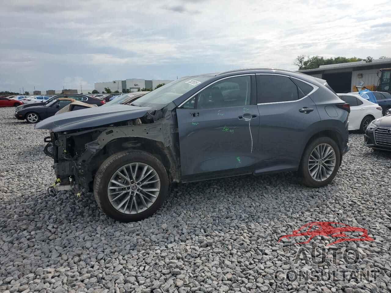 LEXUS NX 350H 2023 - 2T2GKCEZ2PC013099