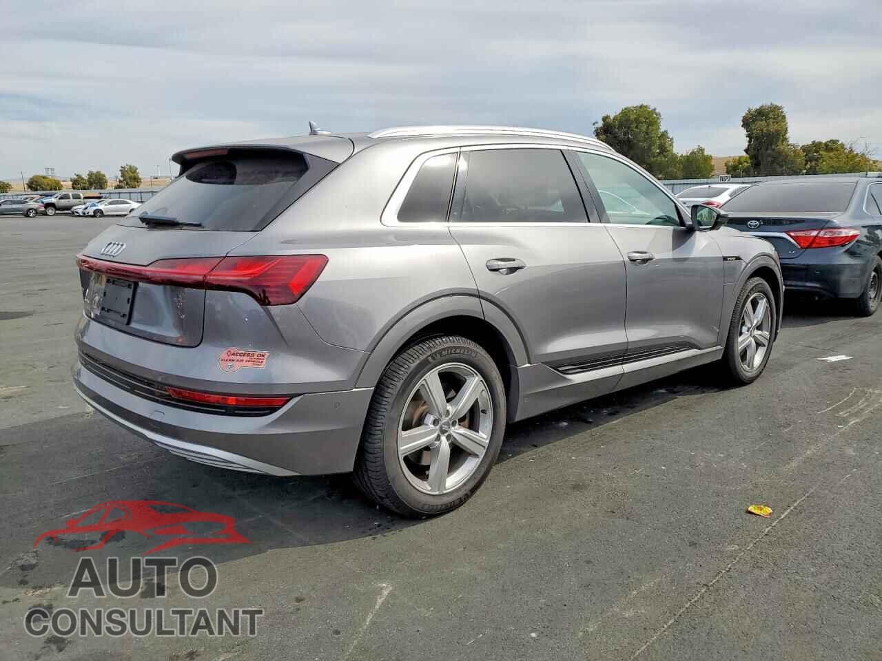 AUDI E-TRON 2019 - WA1VABGEXKB019009