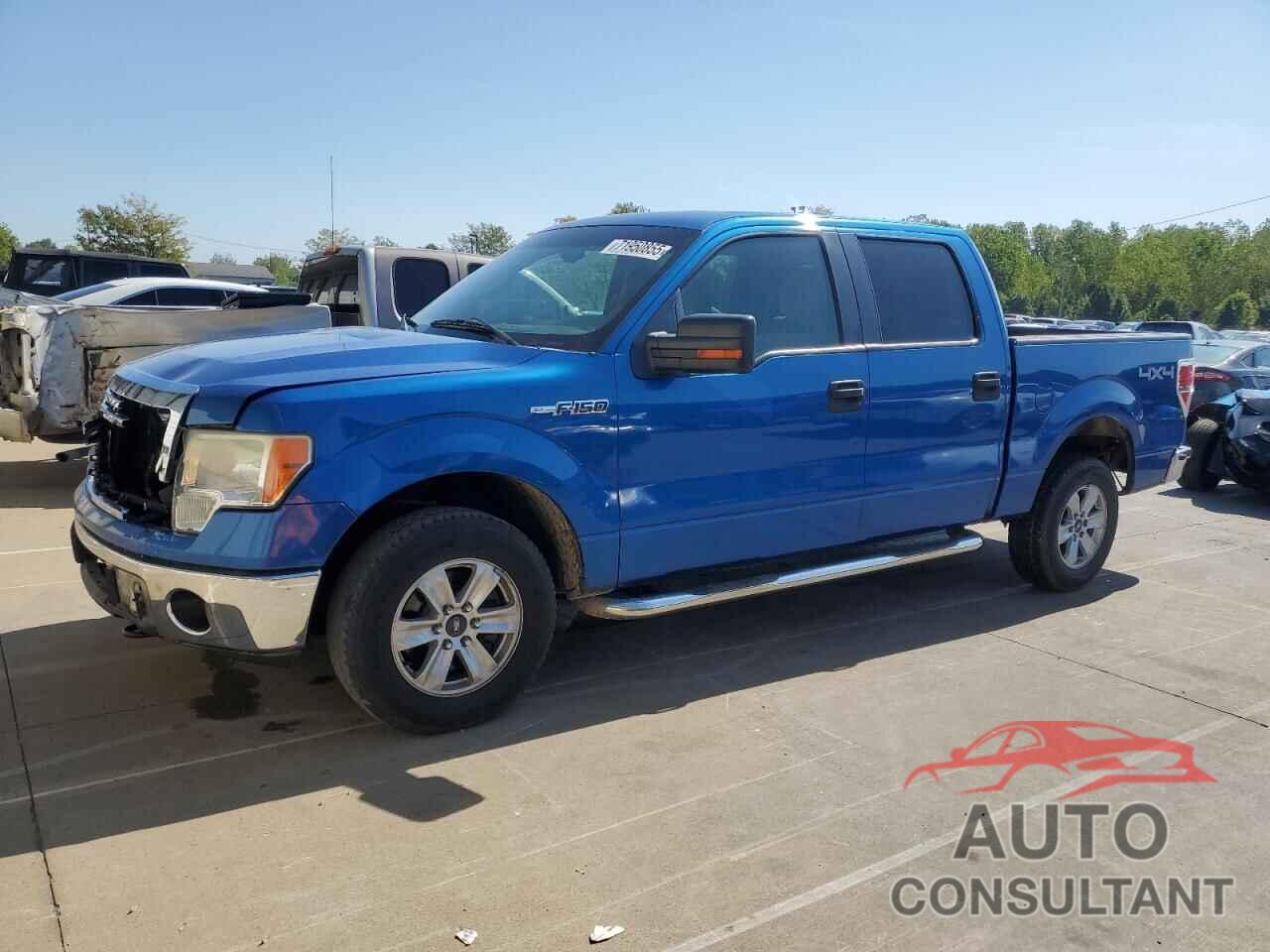 FORD F-150 2010 - 1FTFW1EV8AKE10943