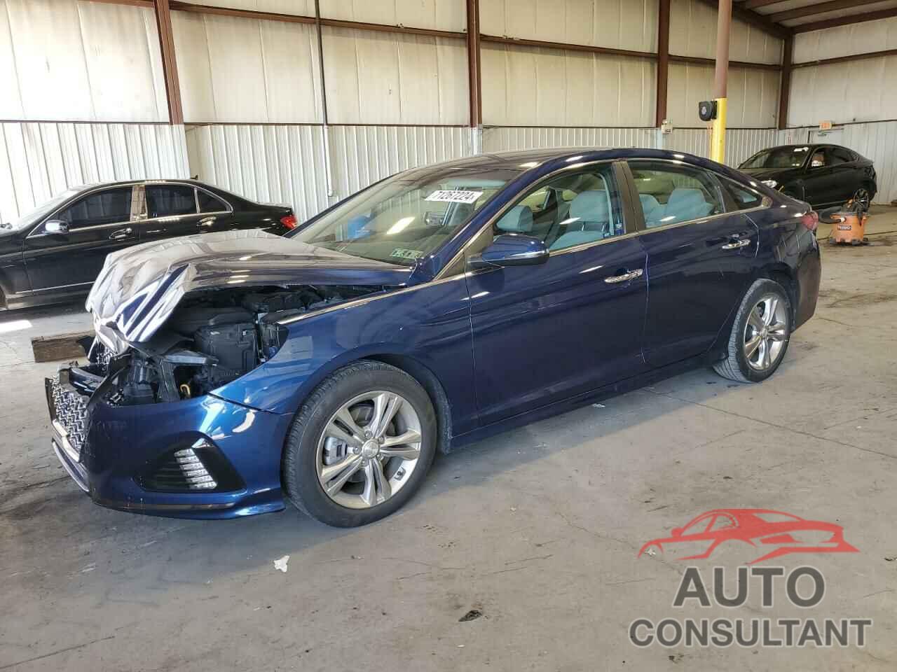 HYUNDAI SONATA 2019 - 5NPE34AF7KH818757