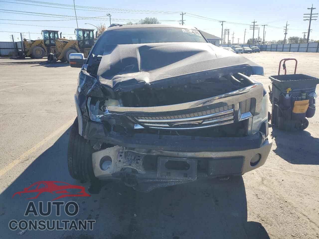 FORD F150 2010 - 1FTFW1EV7AKE32142