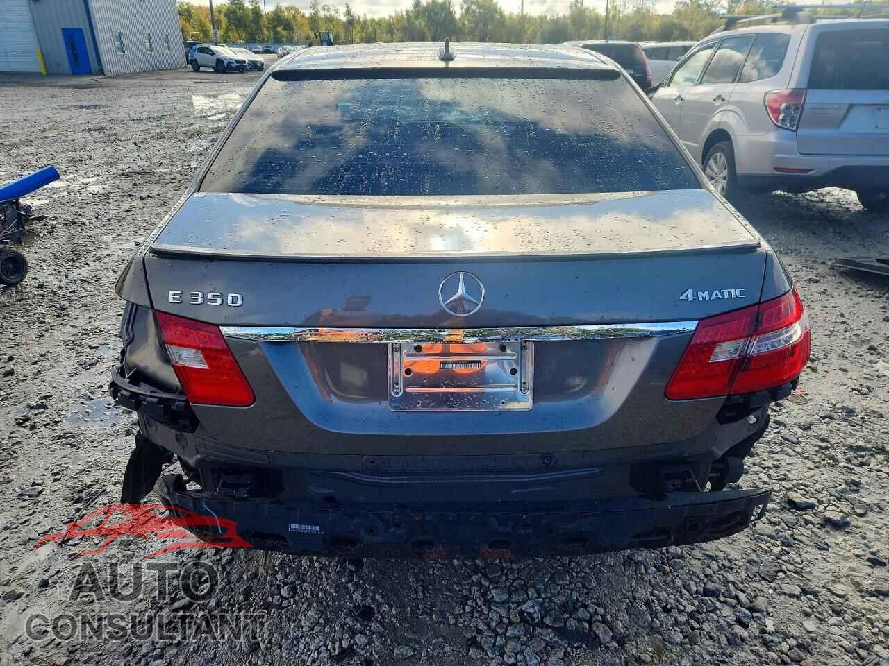 MERCEDES-BENZ E-CLASS 2010 - WDDHF8HB8AA120636
