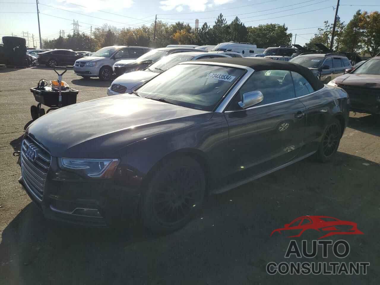 AUDI S5/RS5 2013 - WAUCGAFH9DN017848