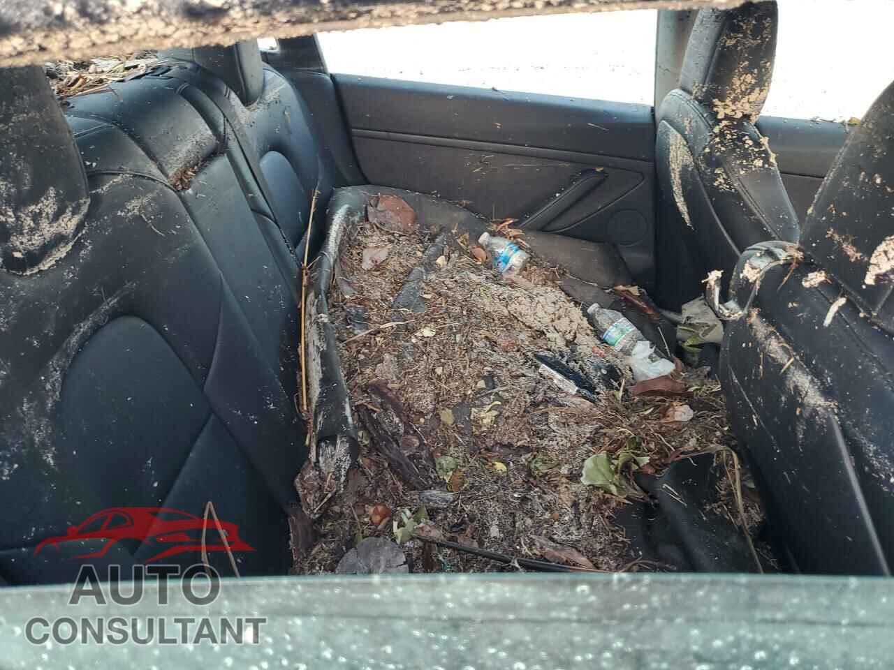 TESLA MODEL 3 2022 - 5YJ3E1EB8NF195515