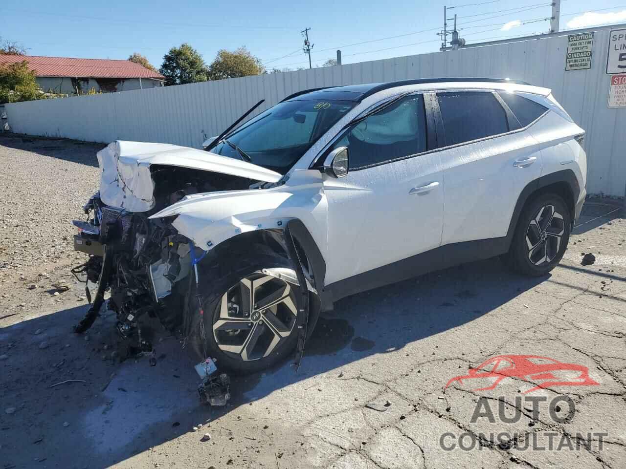 HYUNDAI TUCSON 2024 - KM8JCCD16RU192557