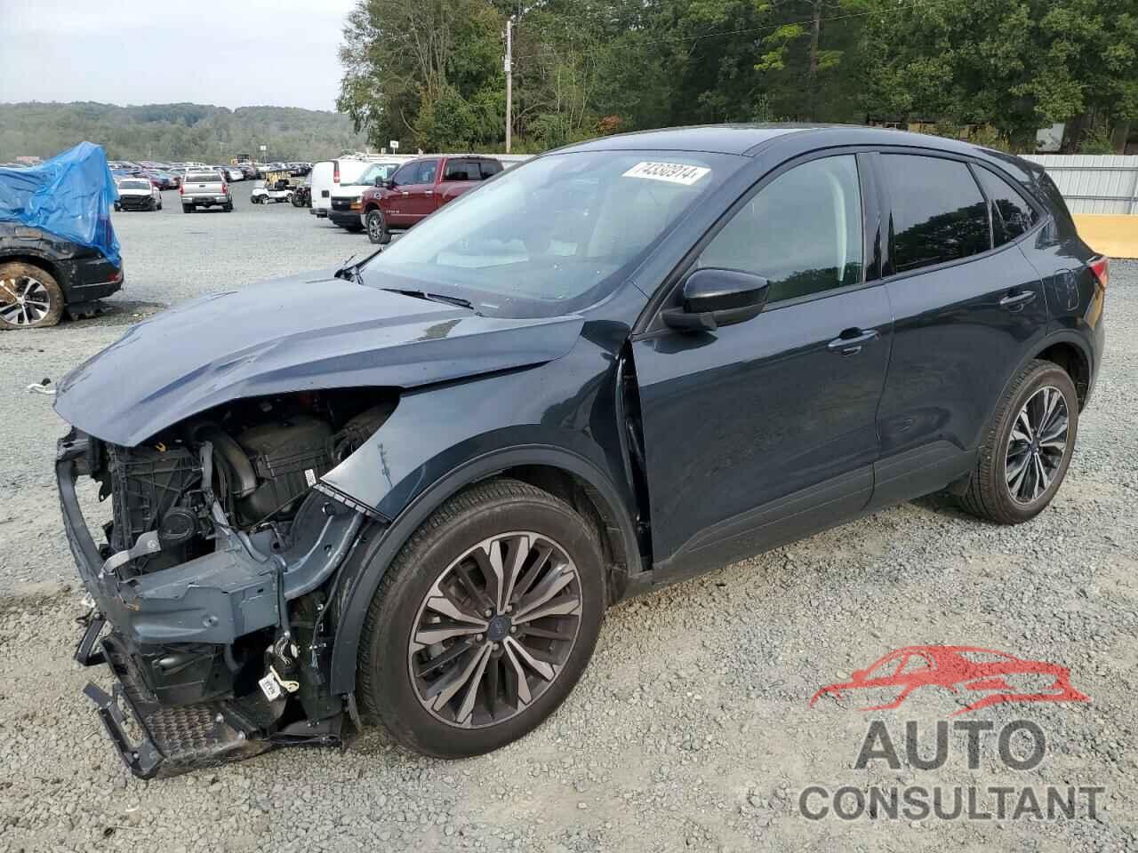 FORD ESCAPE 2022 - 1FMCU0G60NUB18234