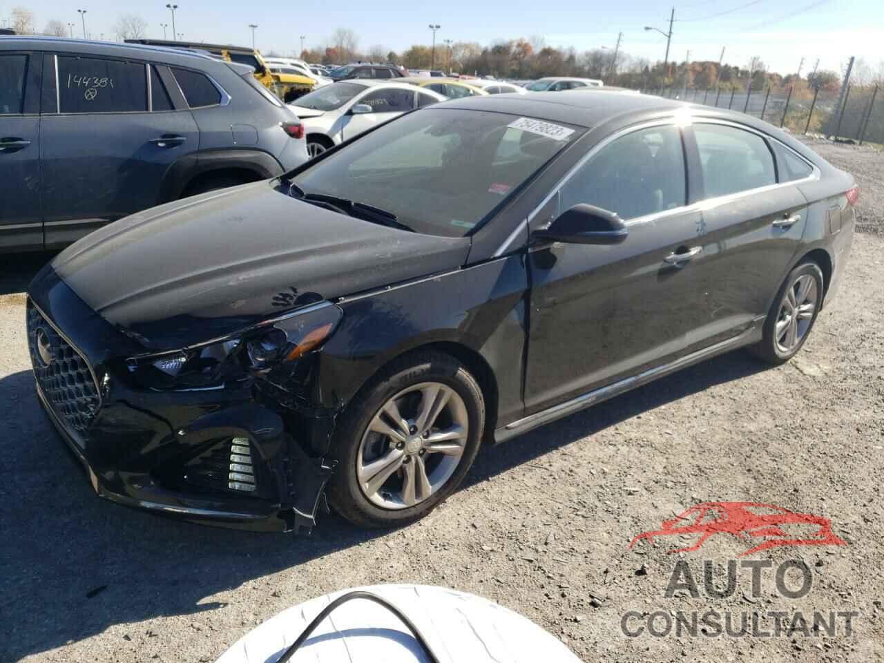 HYUNDAI SONATA 2019 - 5NPE34AF2KH765773