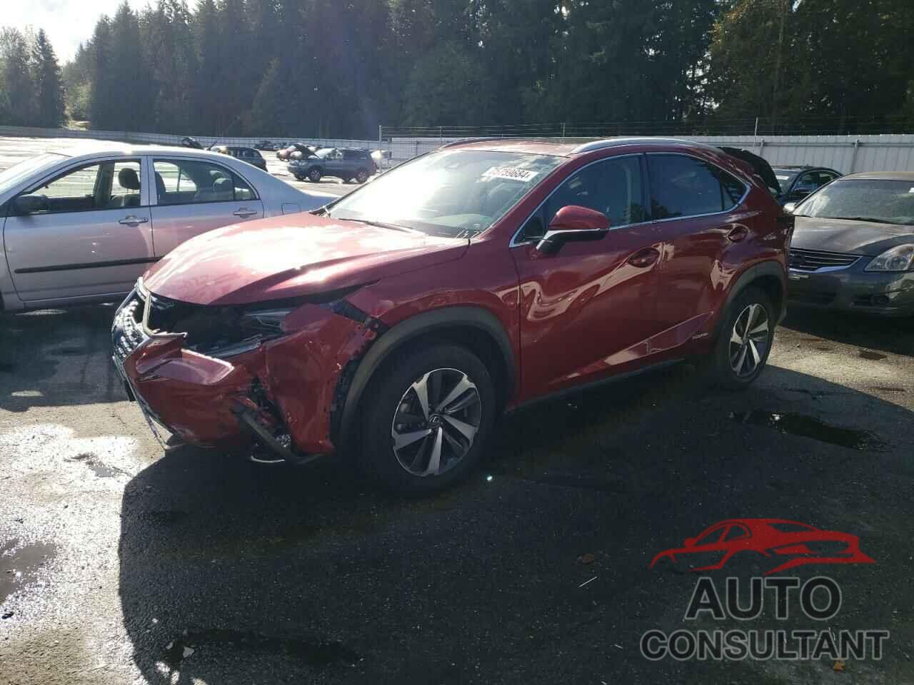 LEXUS NX 2019 - JTJBJRBZXK2101377