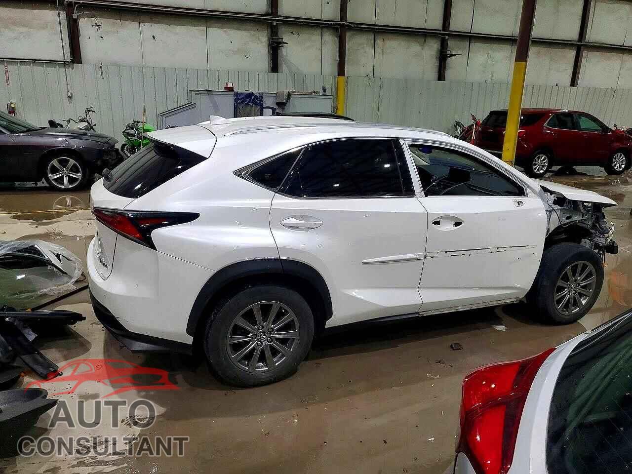 LEXUS NX 2019 - JTJBARBZ9K2184204