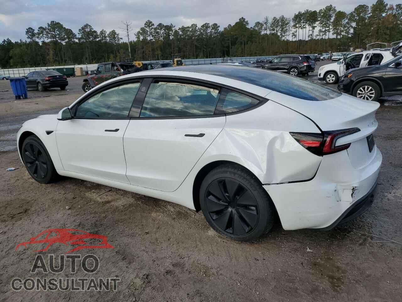 TESLA MODEL 3 2024 - 5YJ3E1EA4RF825415