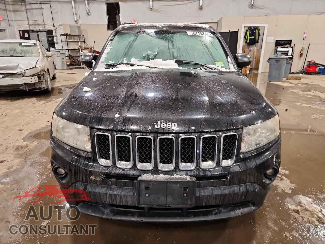 JEEP COMPASS 2011 - 1J4NF1FB5BD206844