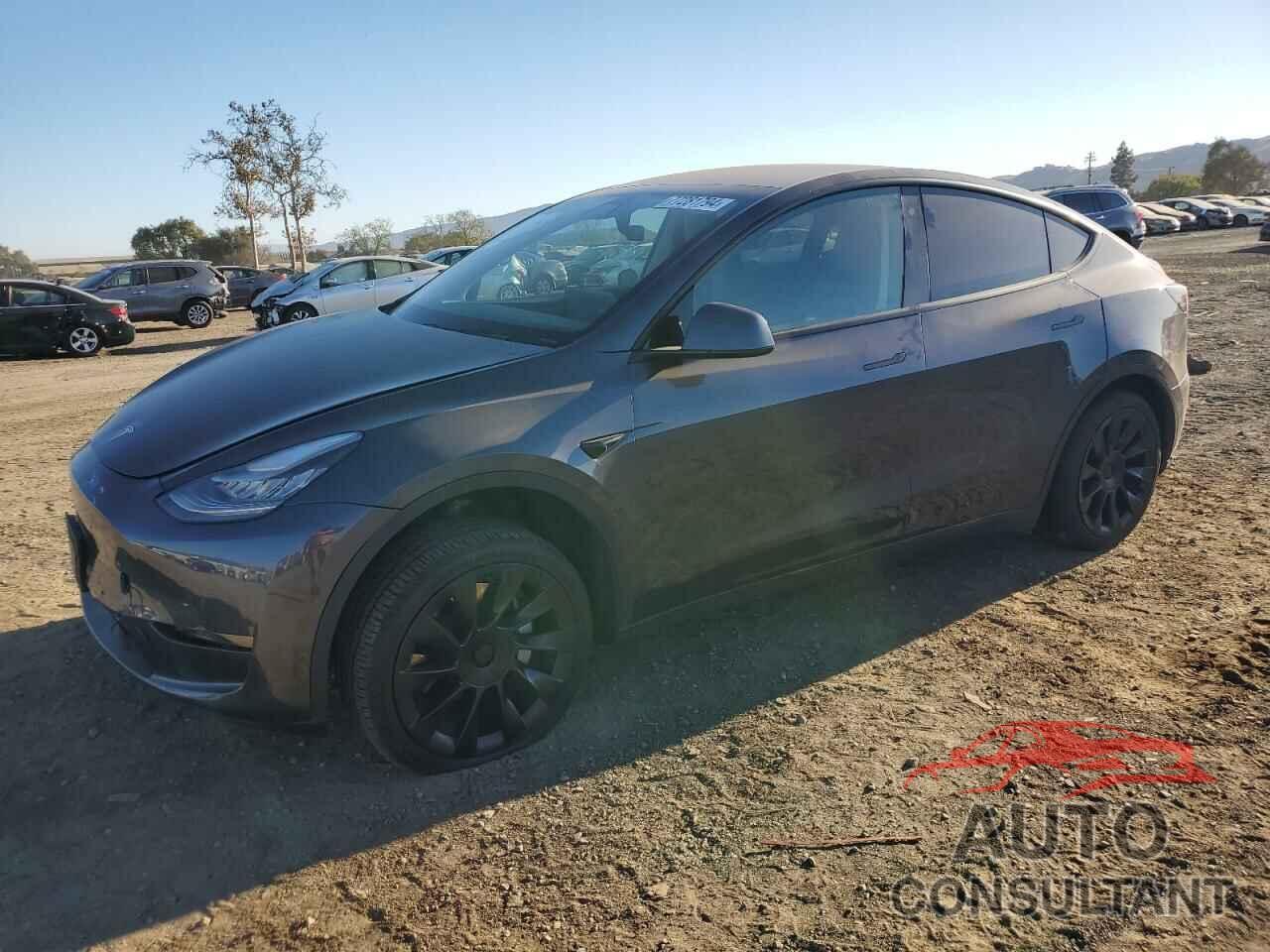 TESLA MODEL Y 2020 - 5YJYGDEE5LF058394