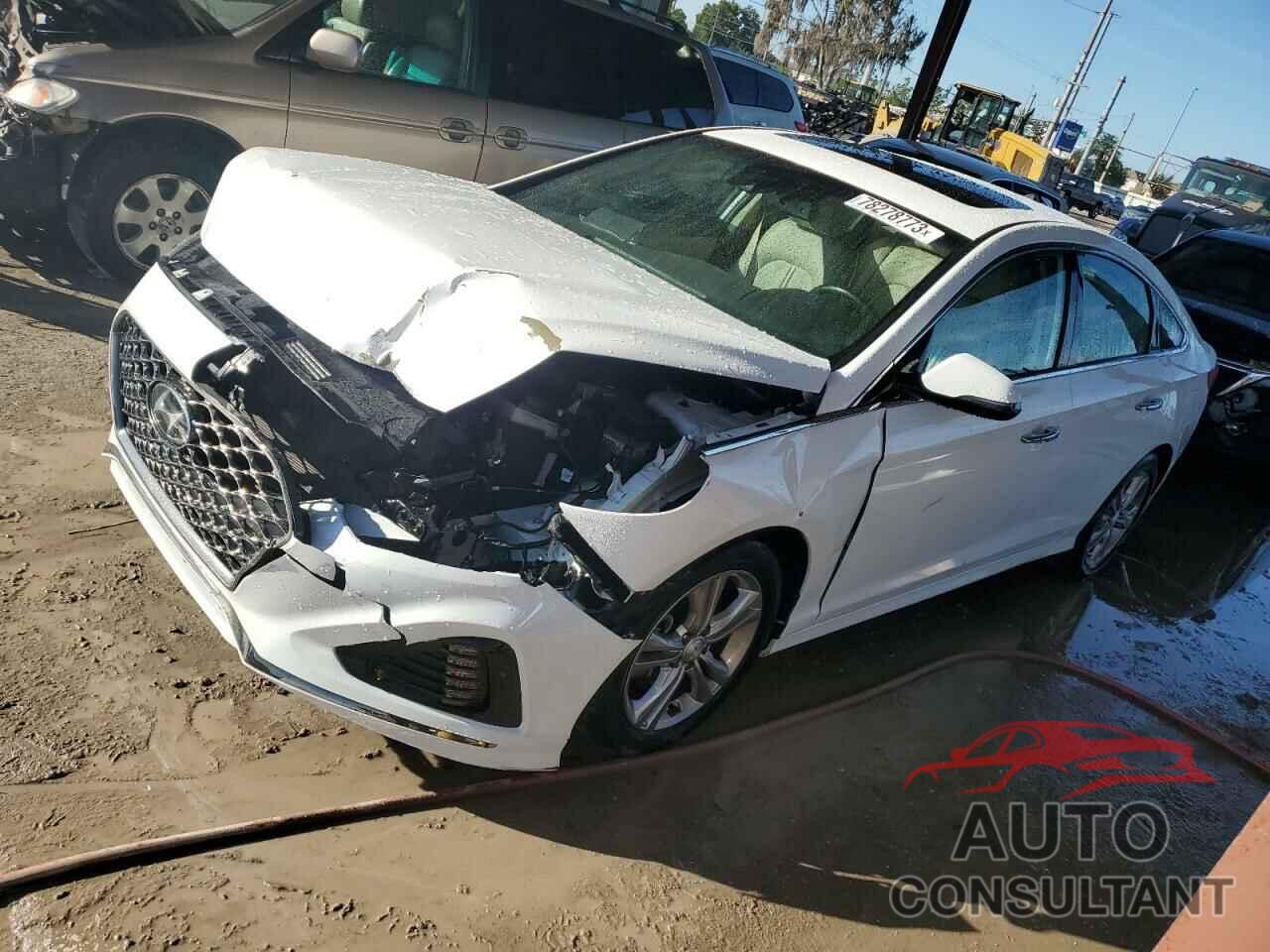HYUNDAI SONATA 2019 - 5NPE34AF3KH747332