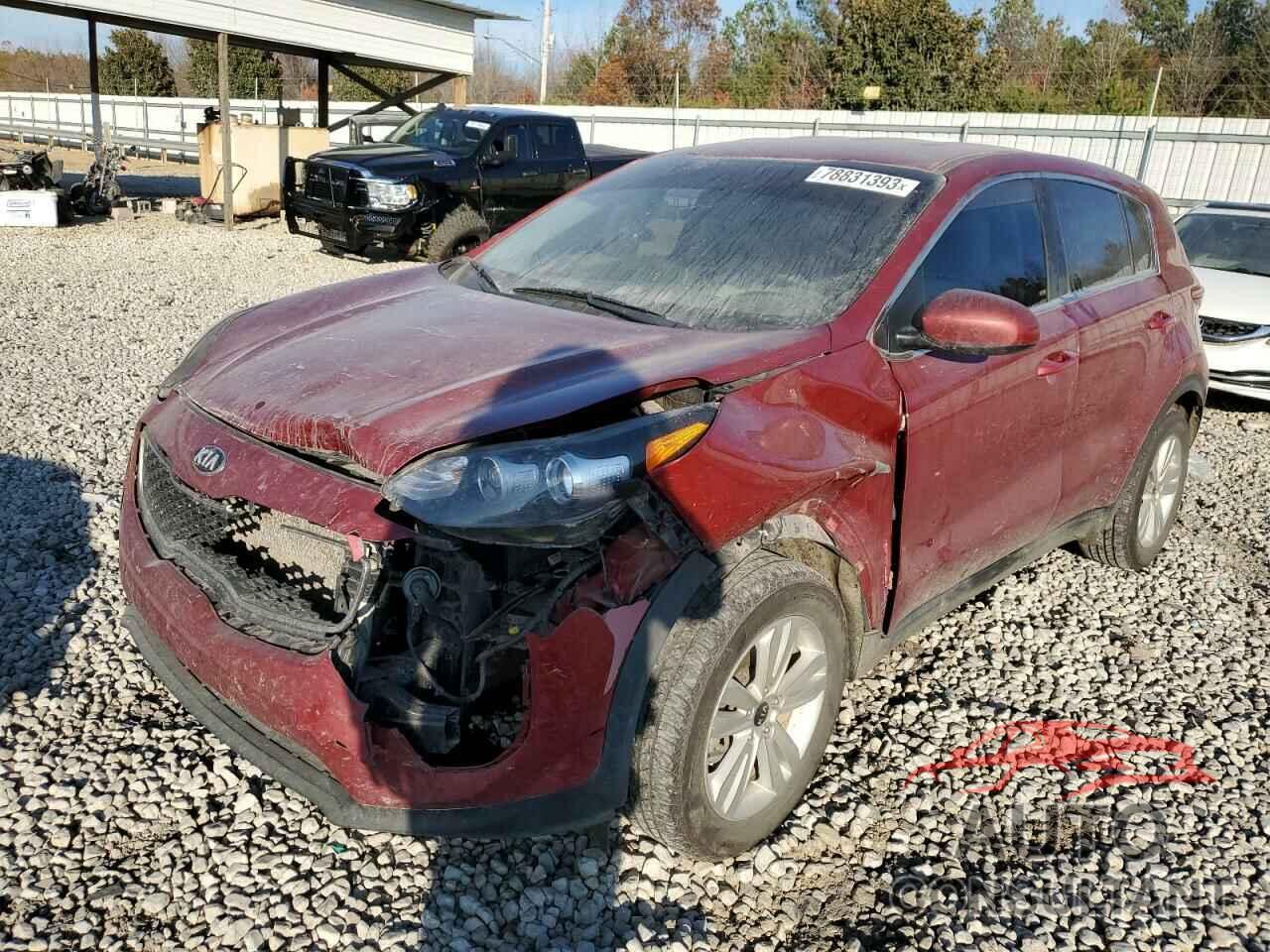 KIA SPORTAGE 2017 - KNDPM3AC1H7135536