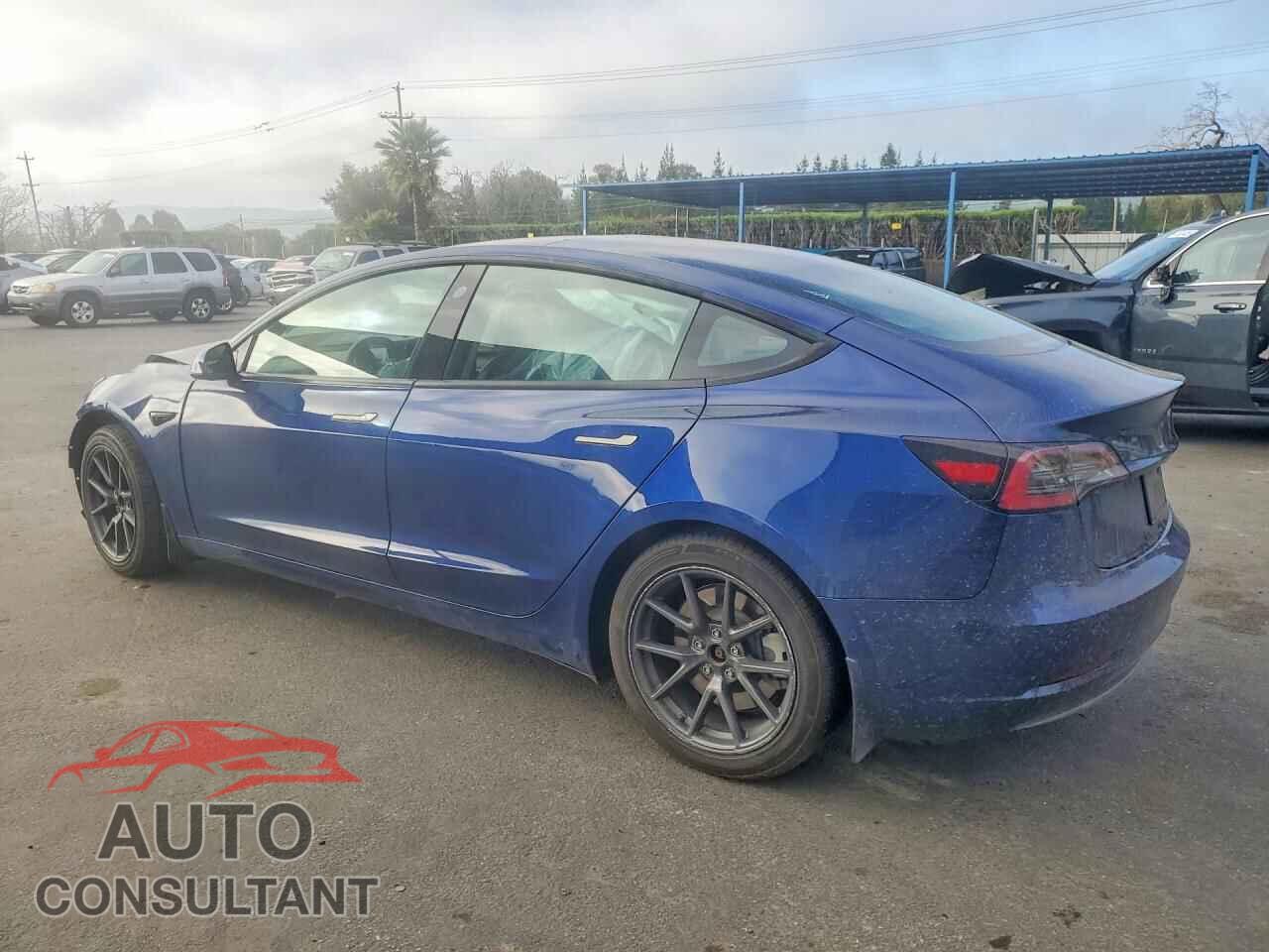 TESLA MODEL 3 2021 - 5YJ3E1EA0MF092322