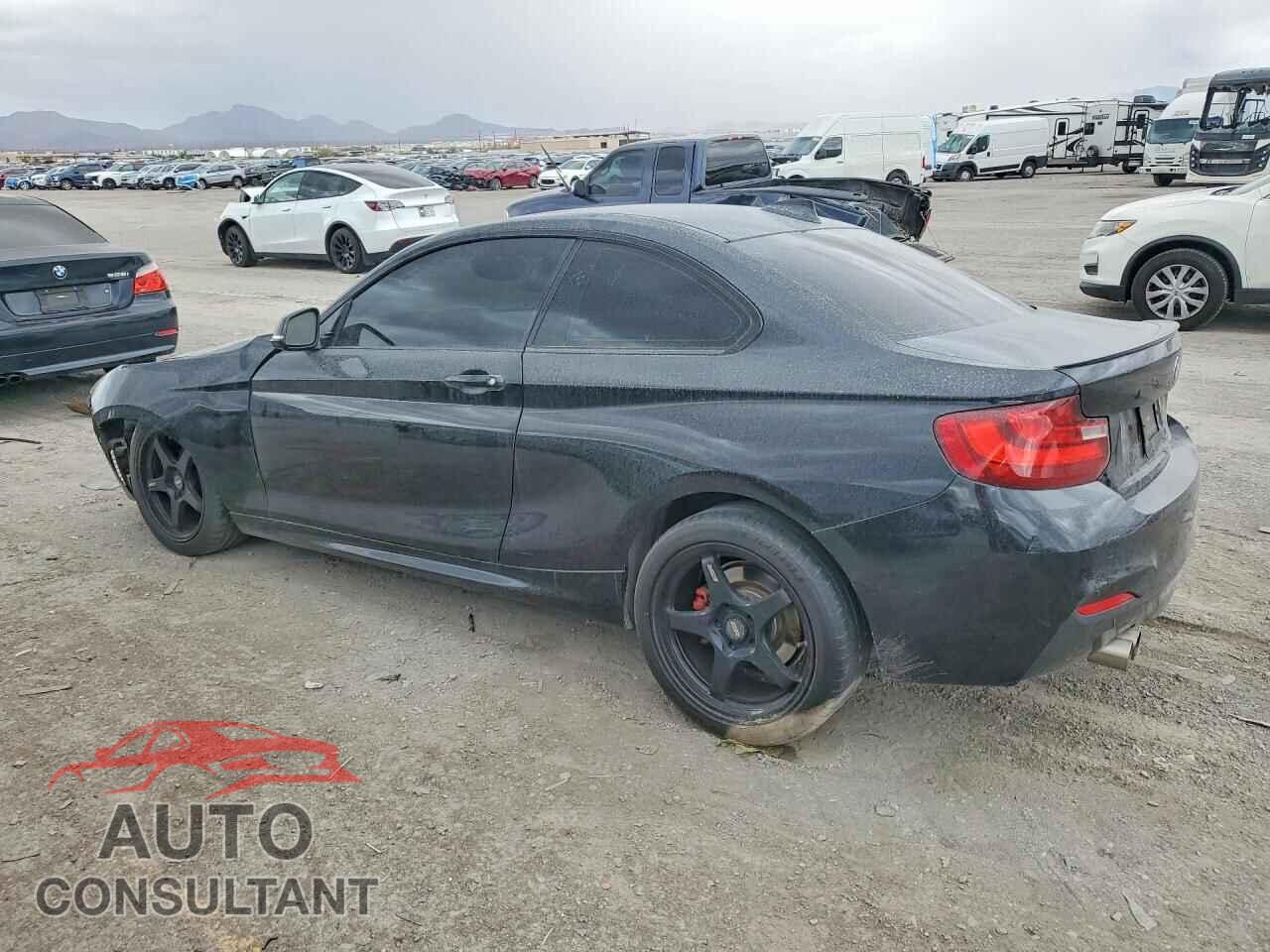 BMW 2 SERIES 2015 - WBA1F5C59FV257531