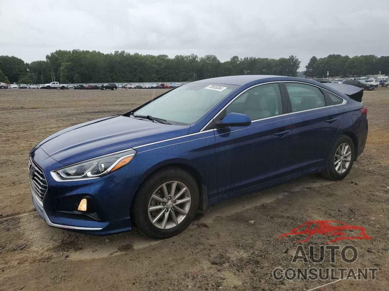 HYUNDAI SONATA 2019 - 5NPE24AFXKH809702