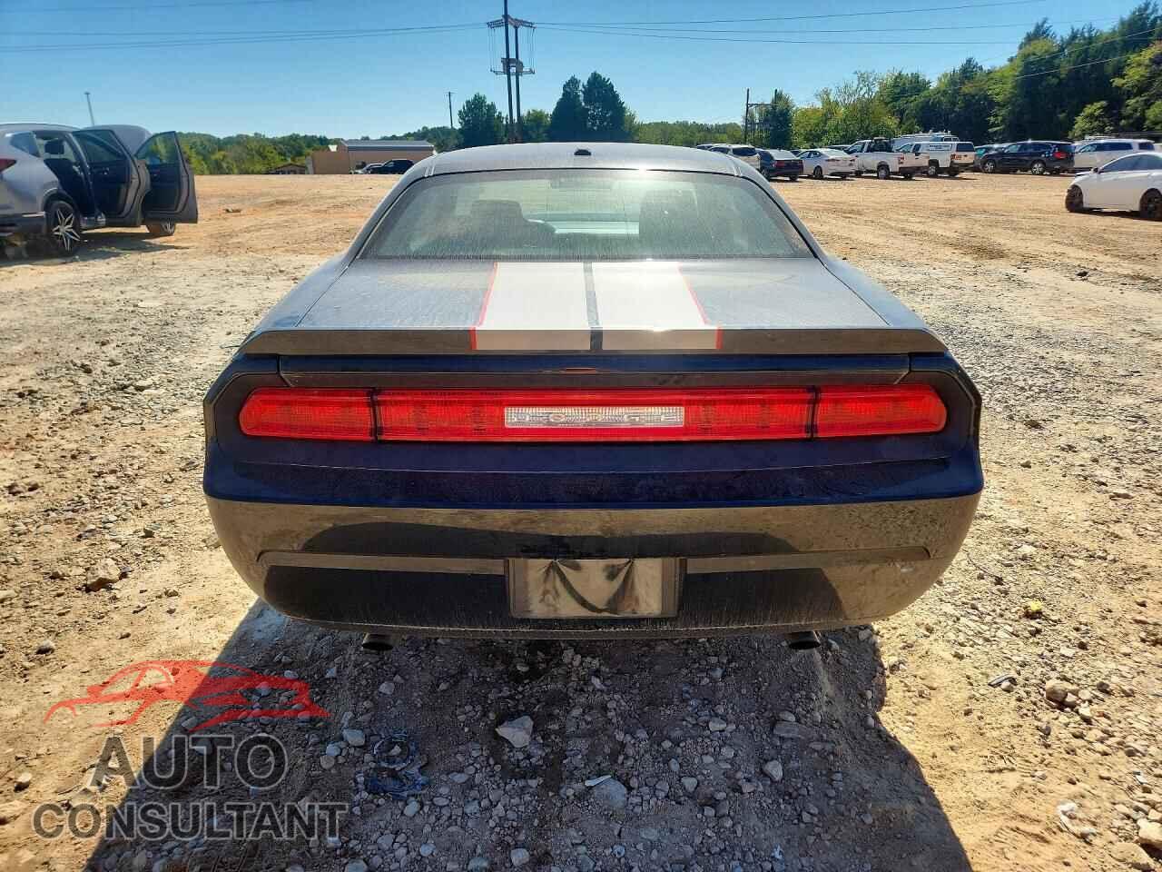 DODGE CHALLENGER 2010 - 2B3CJ4DV8AH323623