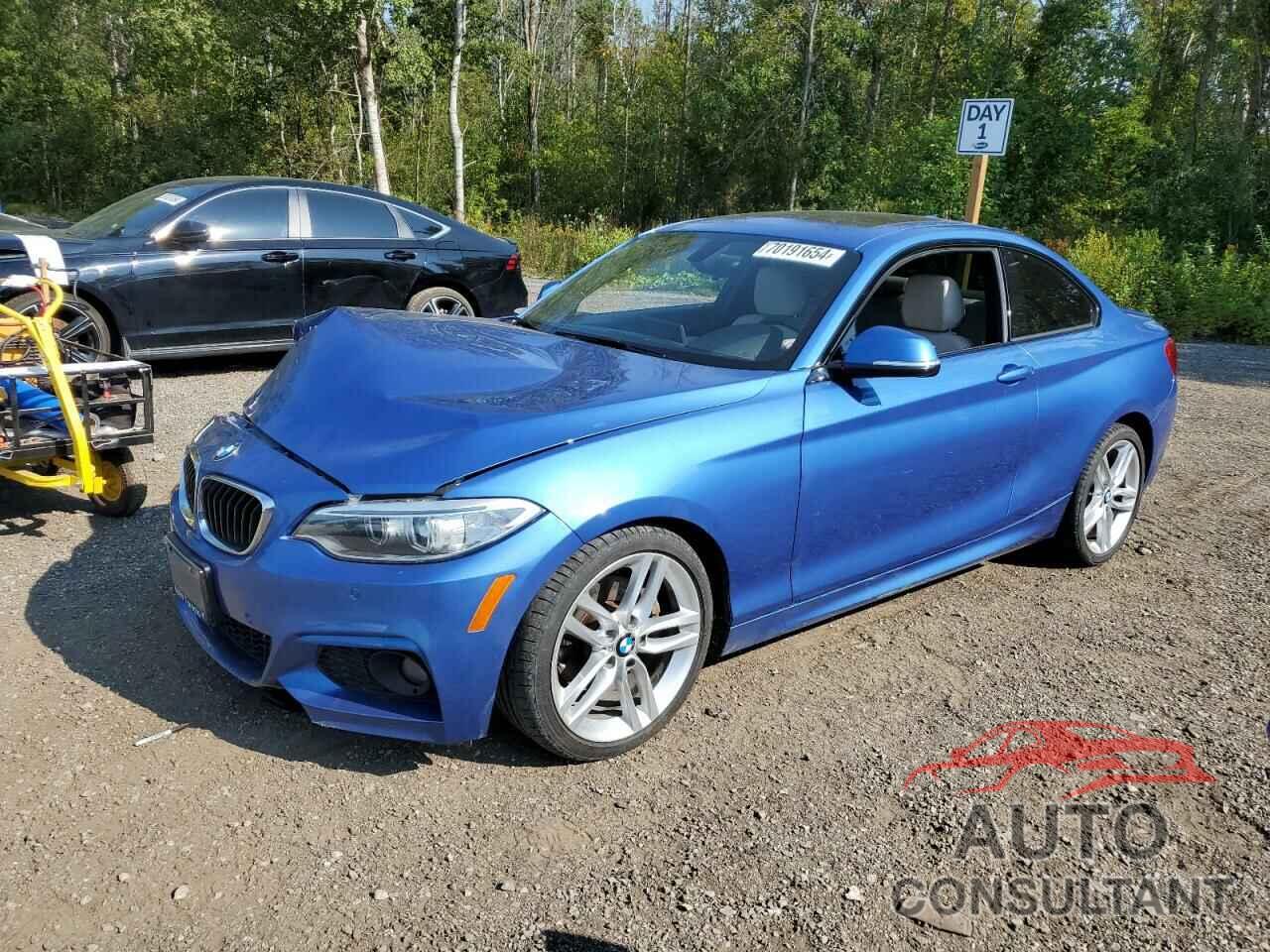 BMW 2 SERIES 2017 - WBA2H9C53HV641944