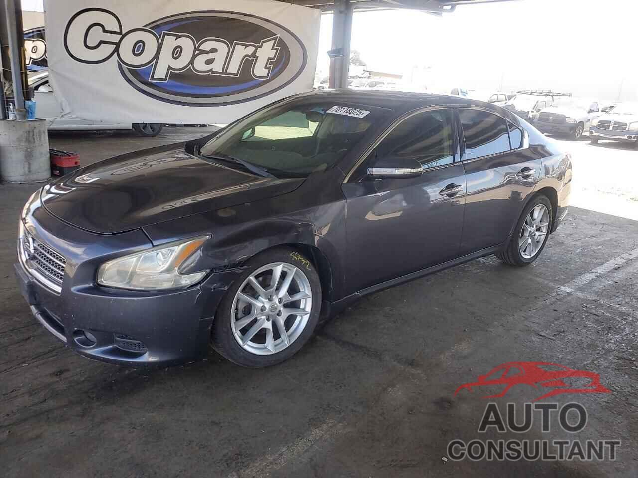 NISSAN MAXIMA 2010 - 1N4AA5AP2AC839373