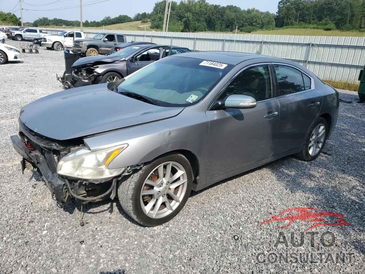 NISSAN MAXIMA 2009 - 1N4AA51E49C815523