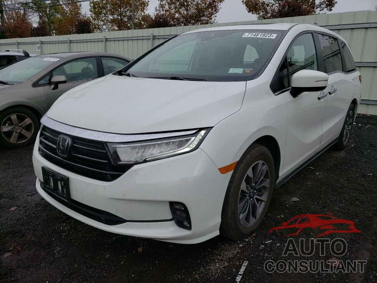 HONDA All Models 2022 - 5FNRL6H79NB012630