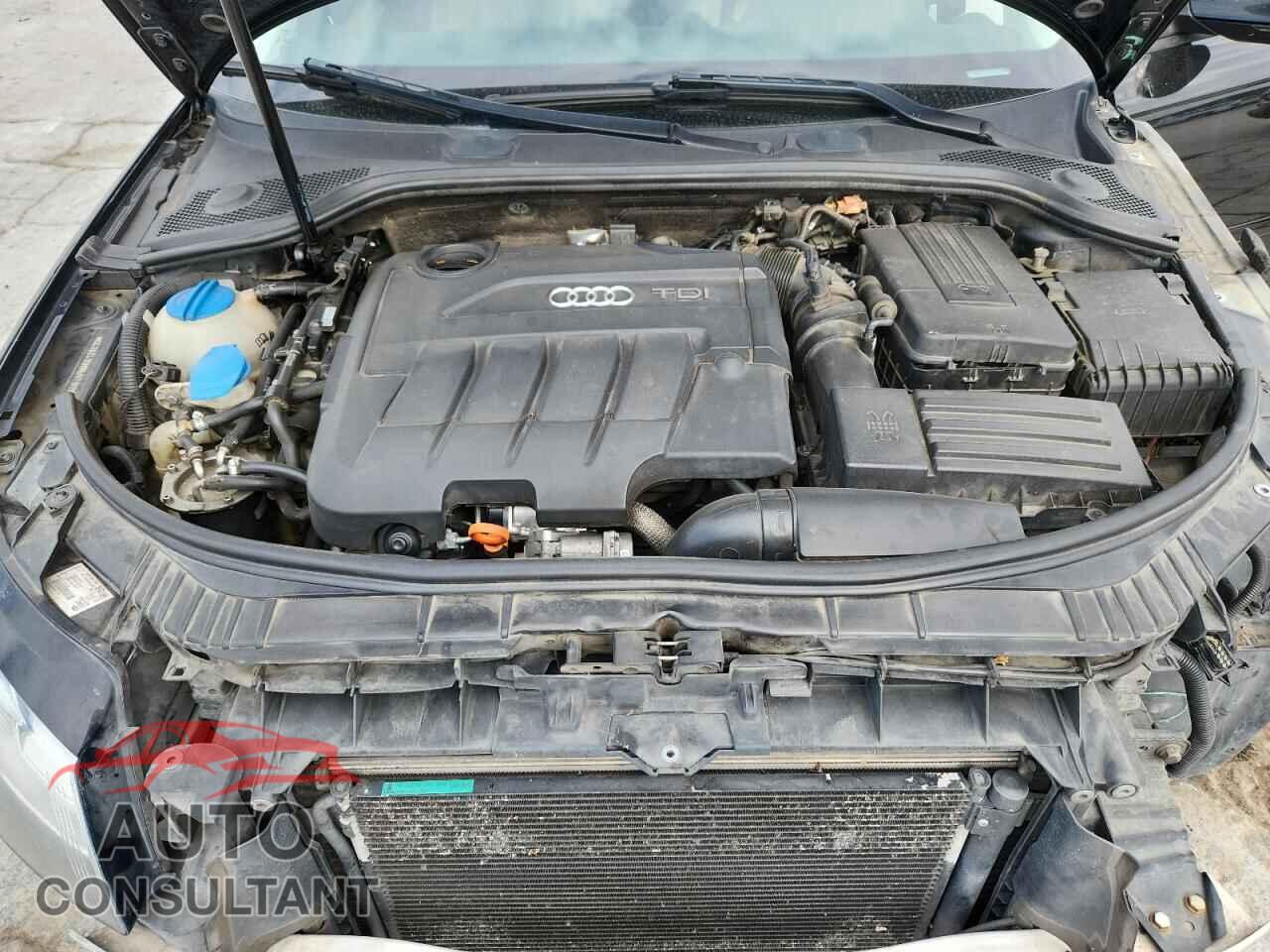 AUDI A3 2011 - WAUBJAFM8BA128020
