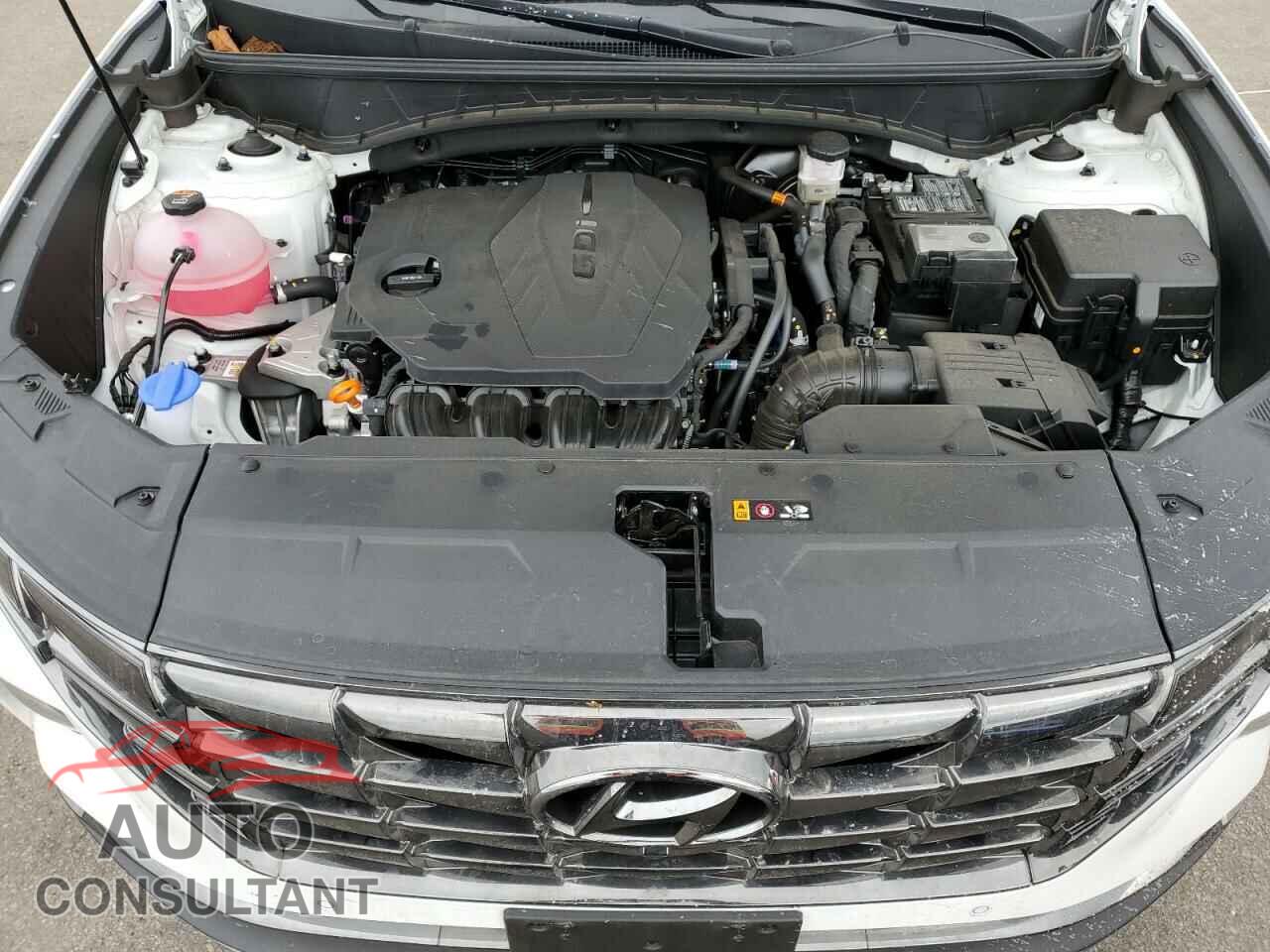 HYUNDAI TUCSON 2024 - 5NMJECDE4RH395102