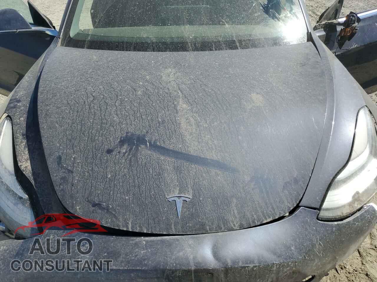 TESLA MODEL 3 2019 - 5YJ3E1EB8KF231215