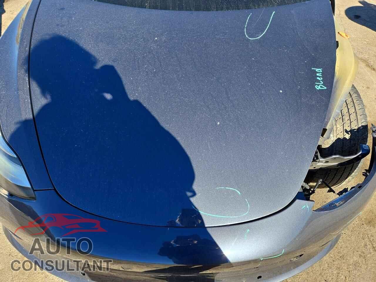TESLA MODEL 3 2019 - 5YJ3E1EA5KF311207