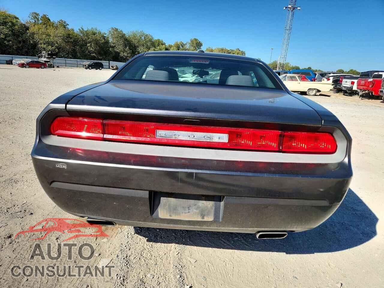 DODGE CHALLENGER 2013 - 2C3CDYAG6DH684330