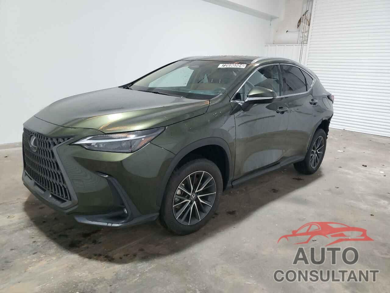 LEXUS NX 350H BA 2024 - 2T2HKCEZ5RC022869