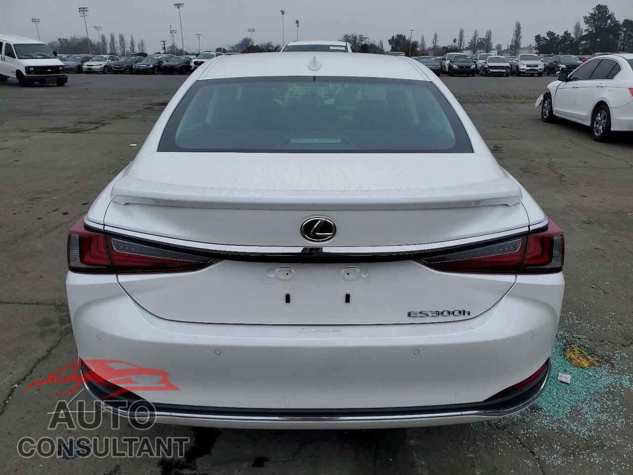 LEXUS ES300 2025 - 58ADA1C16SU077125